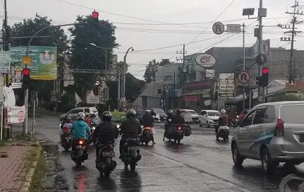 Tl Jember